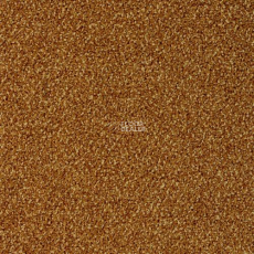 Desso Torso 5421 фото 1 | FLOORDEALER