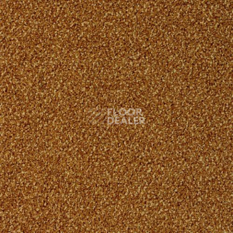 Ковровая плитка Desso Torso 5421 фото 1 | FLOORDEALER