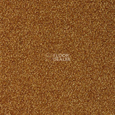 Ковровая плитка Desso Torso 5421 фото 1 | FLOORDEALER