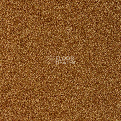 Ковровая плитка Desso Torso 5421 фото 1 | FLOORDEALER