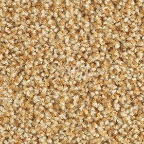 Ковролин Balsan Les Must Les Must 340 фото 1 | FLOORDEALER