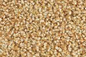 Ковролин Balsan Les Must Les Must 340 фото  | FLOORDEALER