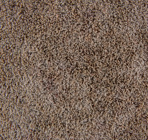 Flotex Colour Calgary 50*50 t 590026 Calgary Linen фото 3 | FLOORDEALER