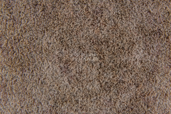 Flotex Colour Calgary 50*50 t 590026 Calgary Linen фото 3 | FLOORDEALER