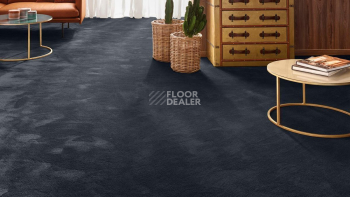 Vorwerk Exclusive 1060 Safira 3q46 фото 2 | FLOORDEALER