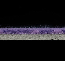 Flotex Colour s 246034 Metro Lilac фото 3 | FLOORDEALER