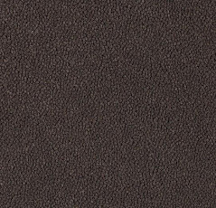 Ковровая плитка Westbond Ibond Natural 9736 фото 1 | FLOORDEALER