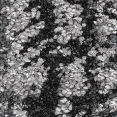 Ковролин Balsan Oscar 990 фото 1 | FLOORDEALER