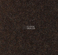 Ковролин Forbo Forte 96025 фото 1 | FLOORDEALER