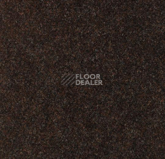 Ковролин Forbo Forte 96025 фото 1 | FLOORDEALER