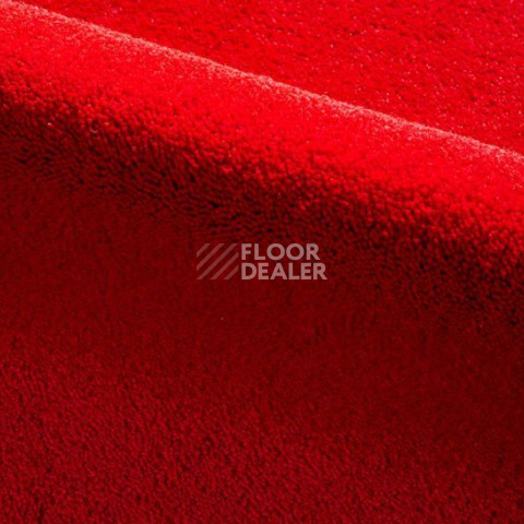 Ковролин Radici Dolce Vita 9819 фото 1 | FLOORDEALER