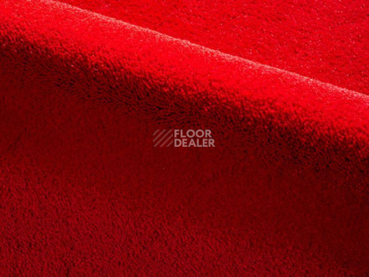 Ковролин Radici Dolce Vita 9819 фото 1 | FLOORDEALER