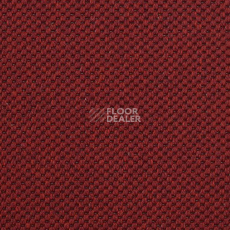 Ковролин Carpet Concept Yve 2 6427 фото 1 | FLOORDEALER