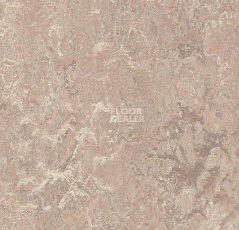 Кварцвиниловые полы Marmoleum Modular t3232 horse roan фото 1 | FLOORDEALER