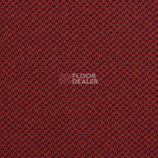 Ковролин Carpet Concept Yve 2 6427 фото 1 | FLOORDEALER