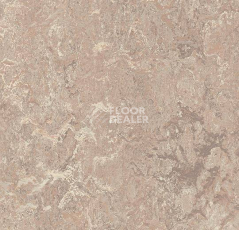 Кварцвиниловые полы Forbo Marmoleum Modular t3232 horse roan фото 1 | FLOORDEALER