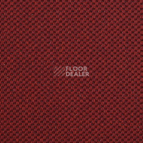 Ковролин Carpet Concept Yve 2 6427 фото 1 | FLOORDEALER