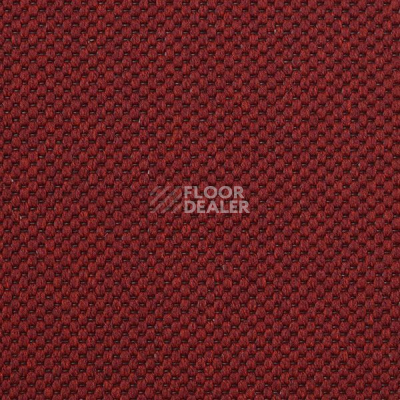 Ковролин Carpet Concept Yve 2 6427 фото 1 | FLOORDEALER