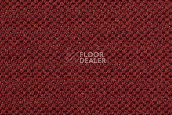 Ковролин Carpet Concept Yve 2 6427 фото 1 | FLOORDEALER
