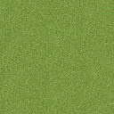 Ковровая плитка Interface Polichrome 7597 Sycamore  | FLOORDEALER