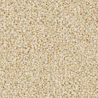 Balsan First Class 620 фото 1 | FLOORDEALER