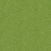 Ковровая плитка Interface Polichrome 7597 Sycamore фото 1 | FLOORDEALER