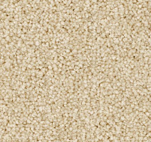 Ковролин Balsan First Class 620 фото 1 | FLOORDEALER