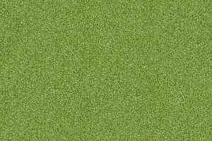 Ковровая плитка Interface Polichrome 7597 Sycamore фото  | FLOORDEALER