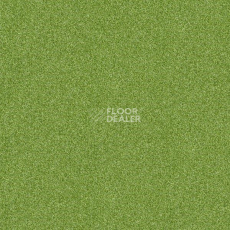 Ковровая плитка Interface Polichrome 7597 Sycamore фото 1 | FLOORDEALER