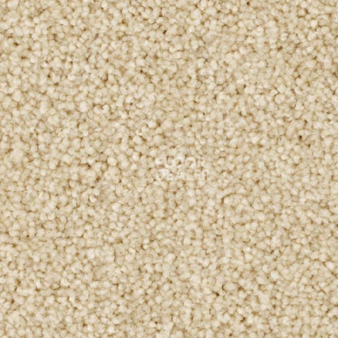Ковролин Balsan First Class 620 фото 1 | FLOORDEALER