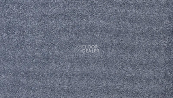 Ковролин Vorwerk Passion 1004 Vorwerk 3n63 фото 1 | FLOORDEALER