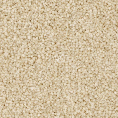 Ковролин Balsan First Class 620 фото 1 | FLOORDEALER