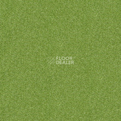 Ковровая плитка Interface Polichrome 7597 Sycamore фото 1 | FLOORDEALER