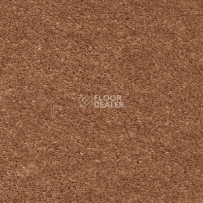 Ковролин AW Masquerade Euphoria 84 фото 1 | FLOORDEALER