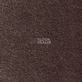 Ковролин AW Satin 42 фото 1 | FLOORDEALER