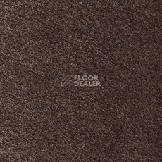 Ковролин AW Satin 42 фото 1 | FLOORDEALER