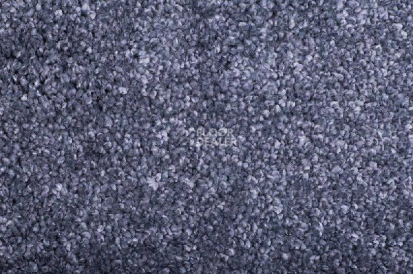 Ковролин Tarkett Diva 44681 фото 1 | FLOORDEALER