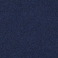 Ковровая плитка Interface Polichrome 7589 Classic Blue фото 1 | FLOORDEALER