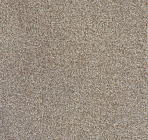 Ковролин AW Vector 34 фото 1 | FLOORDEALER