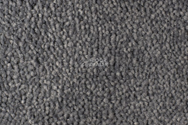 Ковролин Edel Vanity 189 фото 1 | FLOORDEALER