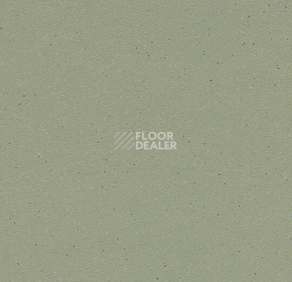 Линолеум Forbo SureStep balance 173742 sage фото 1 | FLOORDEALER