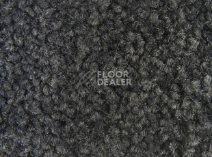 Balsan Bolero 985 фото 2 | FLOORDEALER