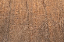 Bonkeel Style 4мм Махо фото 1 | FLOORDEALER