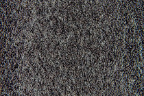 Flotex Colour s 482037 Penang Grey фото 3 | FLOORDEALER