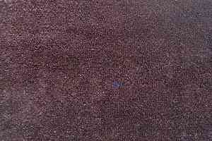 Ковролин Дюна Тафт Плеяда 550 977 фото  | FLOORDEALER