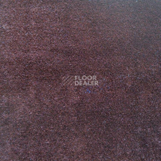 Ковролин Дюна Тафт Плеяда 550 977 фото 1 | FLOORDEALER