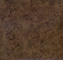 Линолеум Grabo Silver Knight Diamond Tech 386_867_275 фото 1 | FLOORDEALER