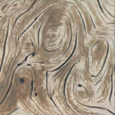 M2 Carpets Reality Rea 01 b фото 1 | FLOORDEALER