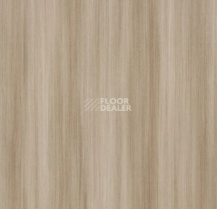 Линолеум Forbo SureStep Wood 18622 shell twine фото 1 | FLOORDEALER