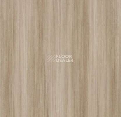 Линолеум Forbo SureStep Wood 18622 shell twine фото 1 | FLOORDEALER
